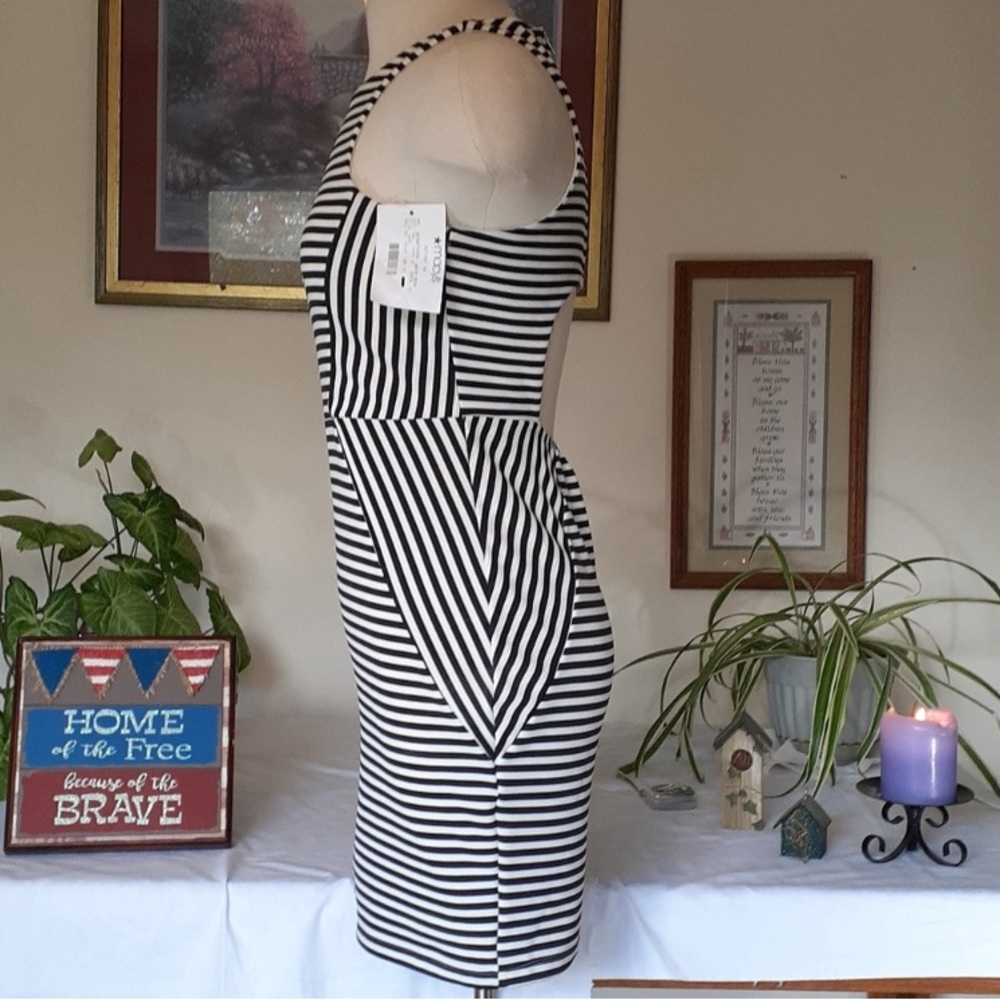Trixxi Bodycon Dress - Picture 3 of 8